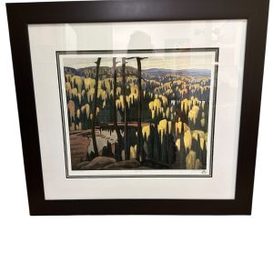 Framed Print "Algoma Country" - Valued at $150