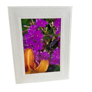 Card- Bee Fuschsia - Valued at $5