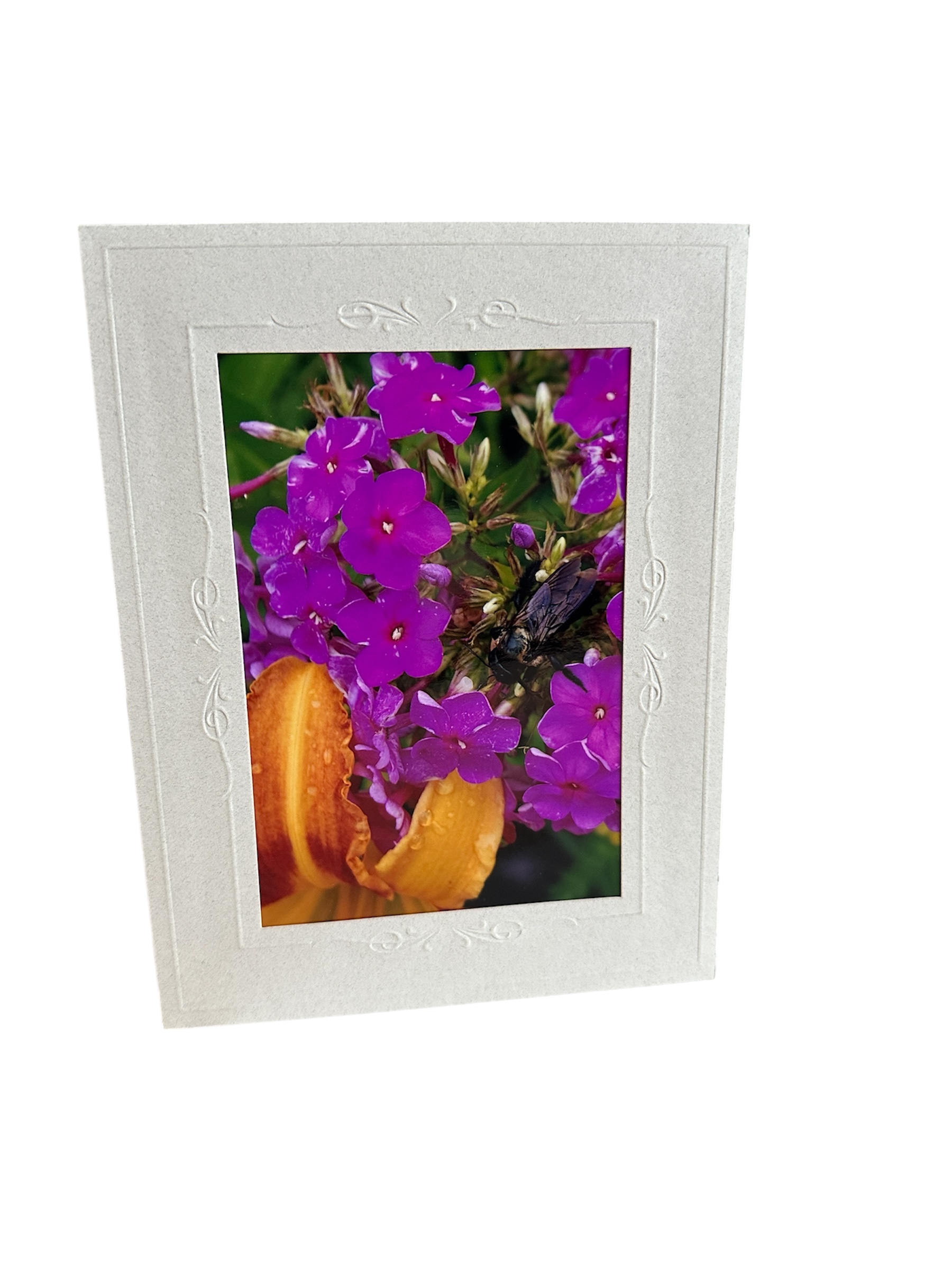 Card- Bee Fuschsia – Valued at $5