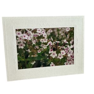 Card-Bee Tiny Flower - Valued at $5