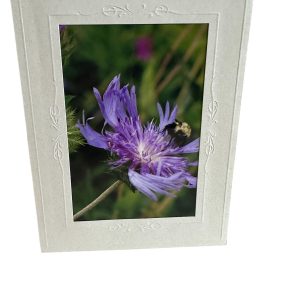 Card- Bee Purple - Valued at $5