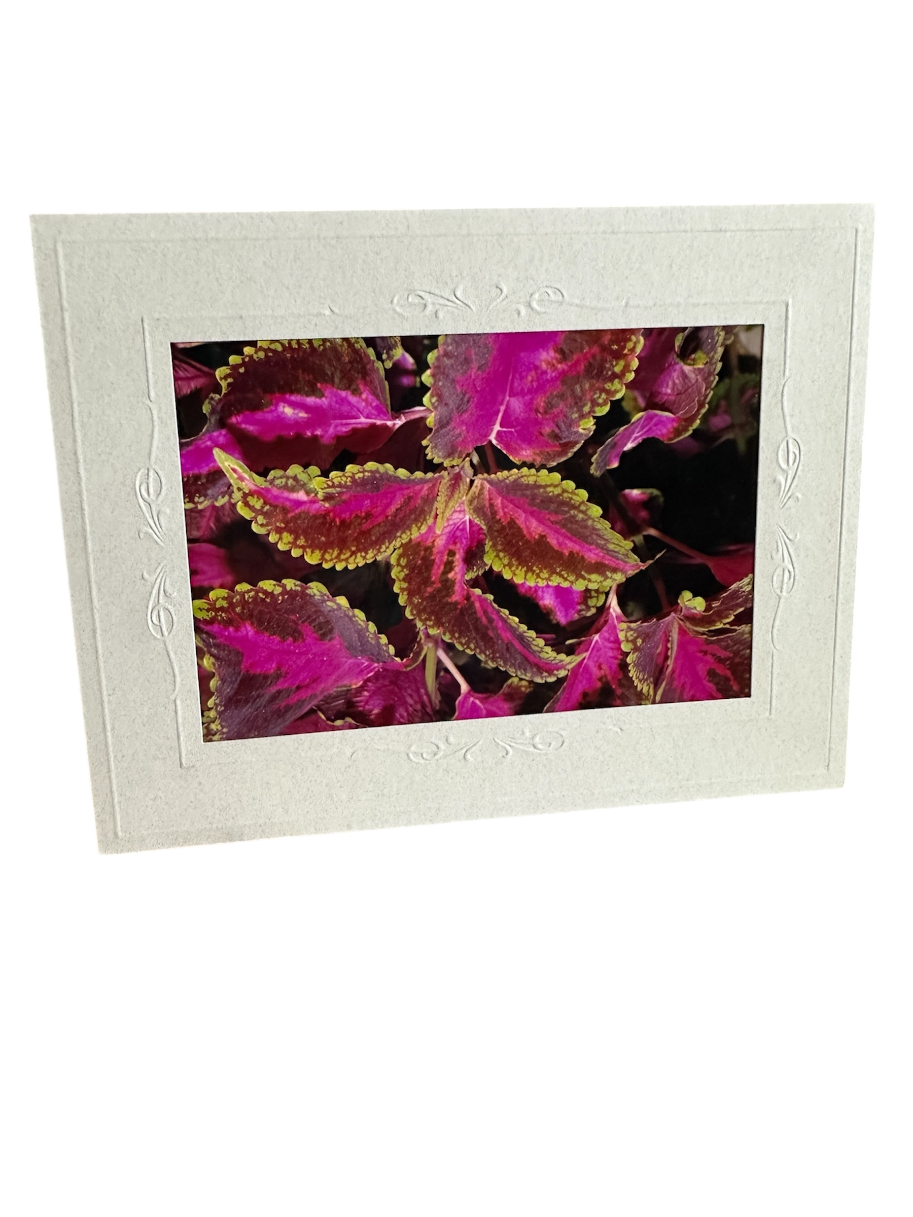 Card- Fuschia Green – Valued at $5