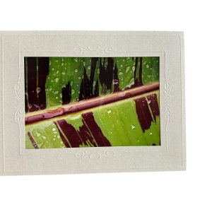 Card - Green Rain - Valued at $5