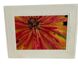 Card-Orange Flower - Valued at $5