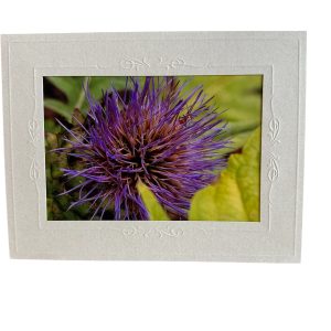 Card- Thistle - Valued at $5