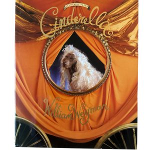 Cinderella Book - Valued at $12